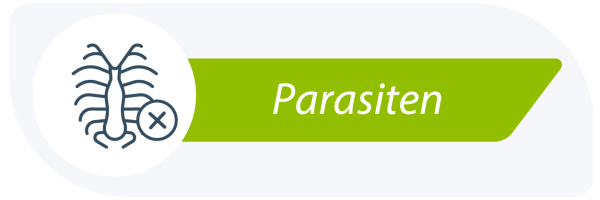 Parasiten