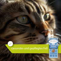 ZeckoX Kräuterlis für Katzen 400g für ein starkes Milieu