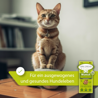 WumoX Kräuterlis für Katzen 400g für ein positives Darmklima