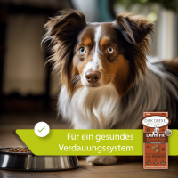 Darm Fit Kräuterlis für Hunde 100g für eine positive Darmflora